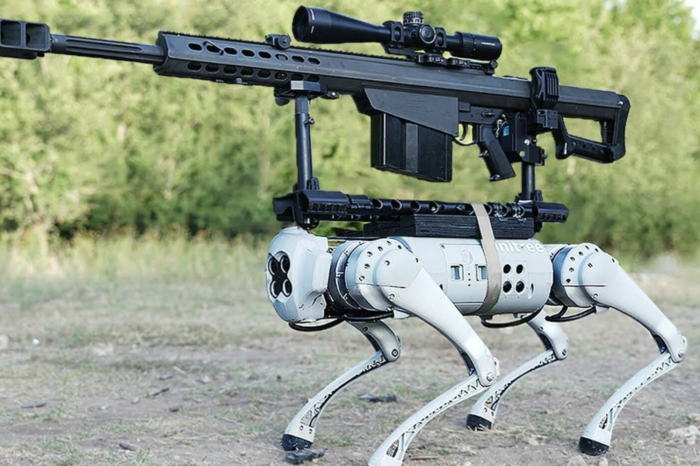 Chien Robot Chine Militaire