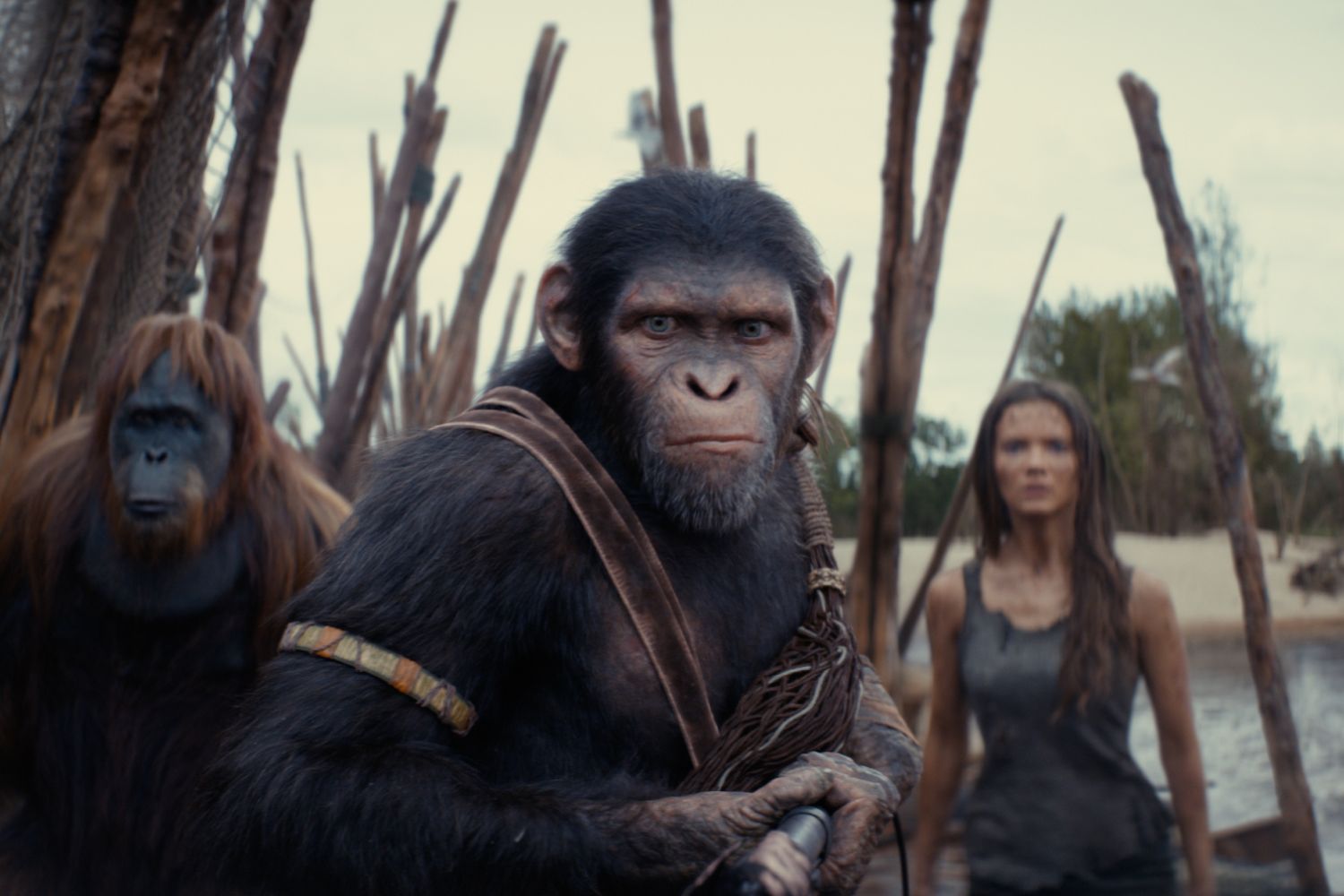 New Planet of the Apes Movie