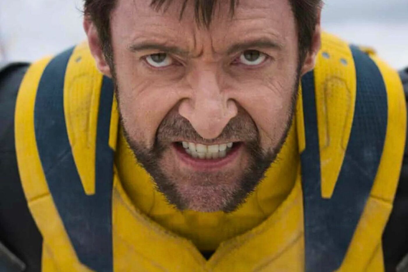 Robin Des Bois Hugh Jackman