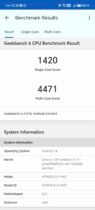 Screenshot 20240607 152823 Com.primatelabs.geekbench6