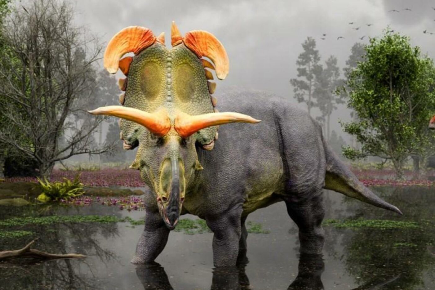 Lokiceratops