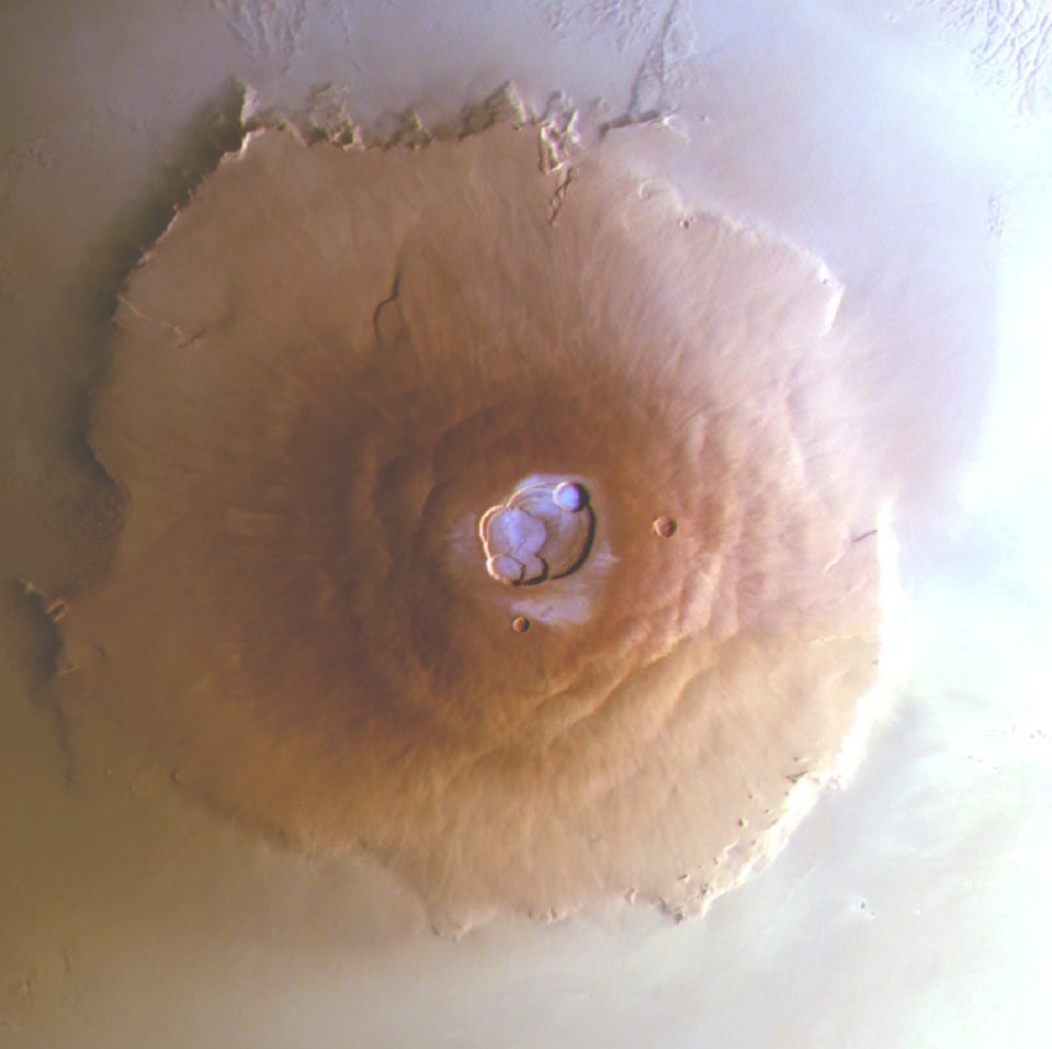 Olympus Mons Frost Top