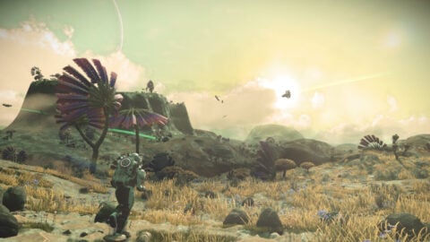 Nms Worlds Biomes 2