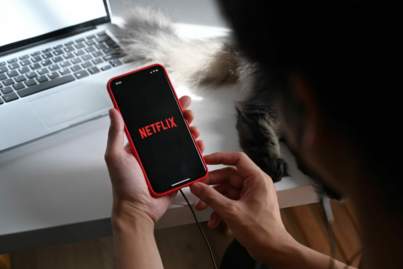 Netflix Abonnés Hausse