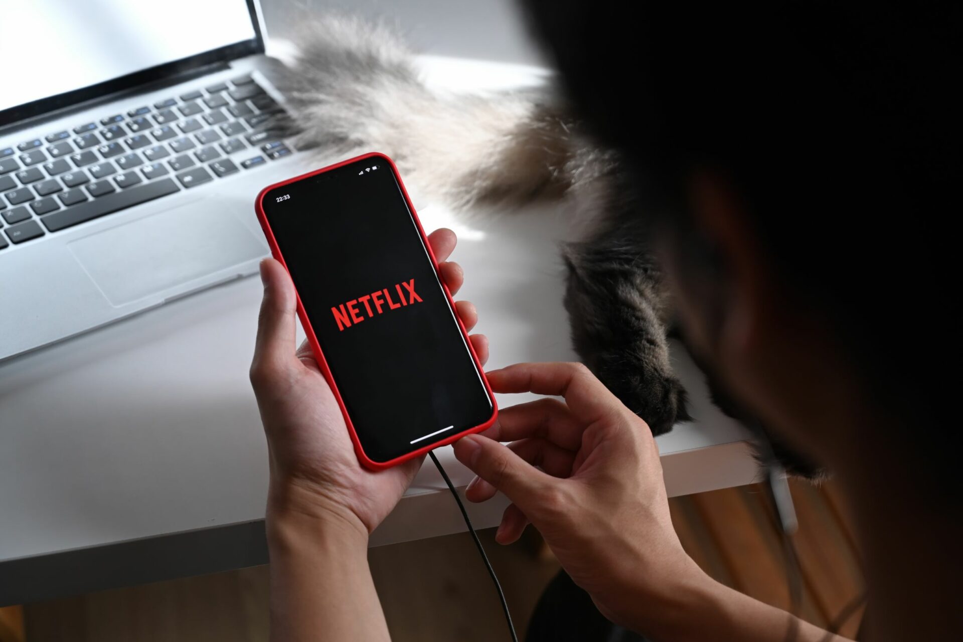 Netflix Abonnés Hausse