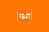 Temu Logo