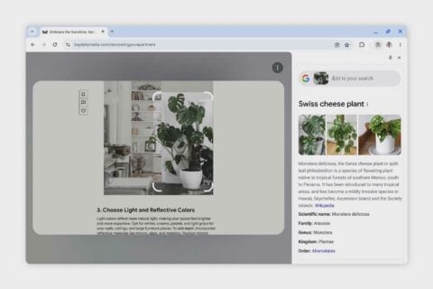 Chrome Search With Lens Object Recognition Plant 0