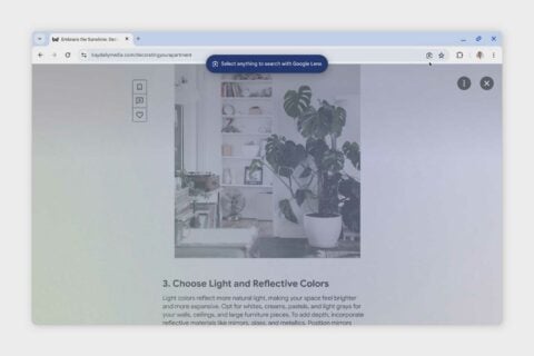 Chrome Search With Lens Object Recognition Plant 01