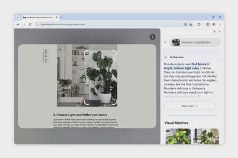 Chrome Search With Lens Object Recognition Plant 1