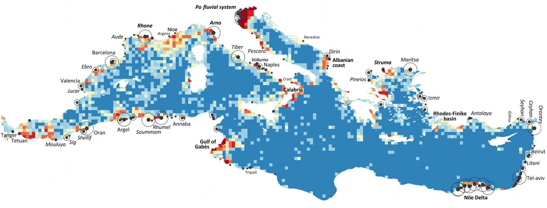 Carte Plastique Mediterranee