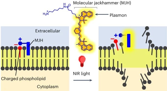 Molecular Jackhammer Cancer