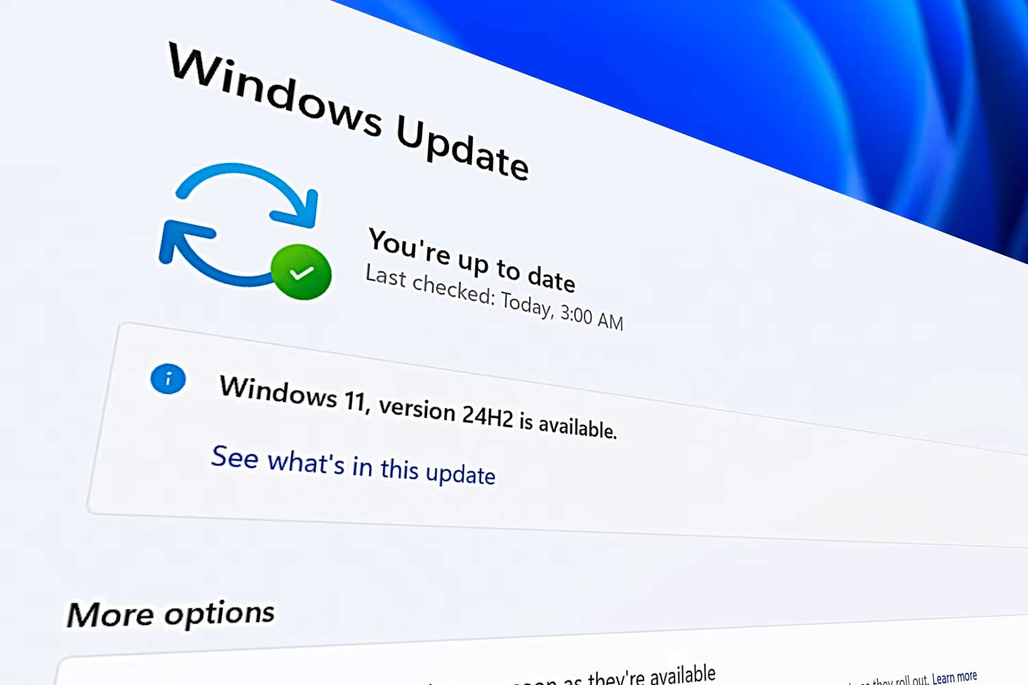 Windows 11 2024 Update