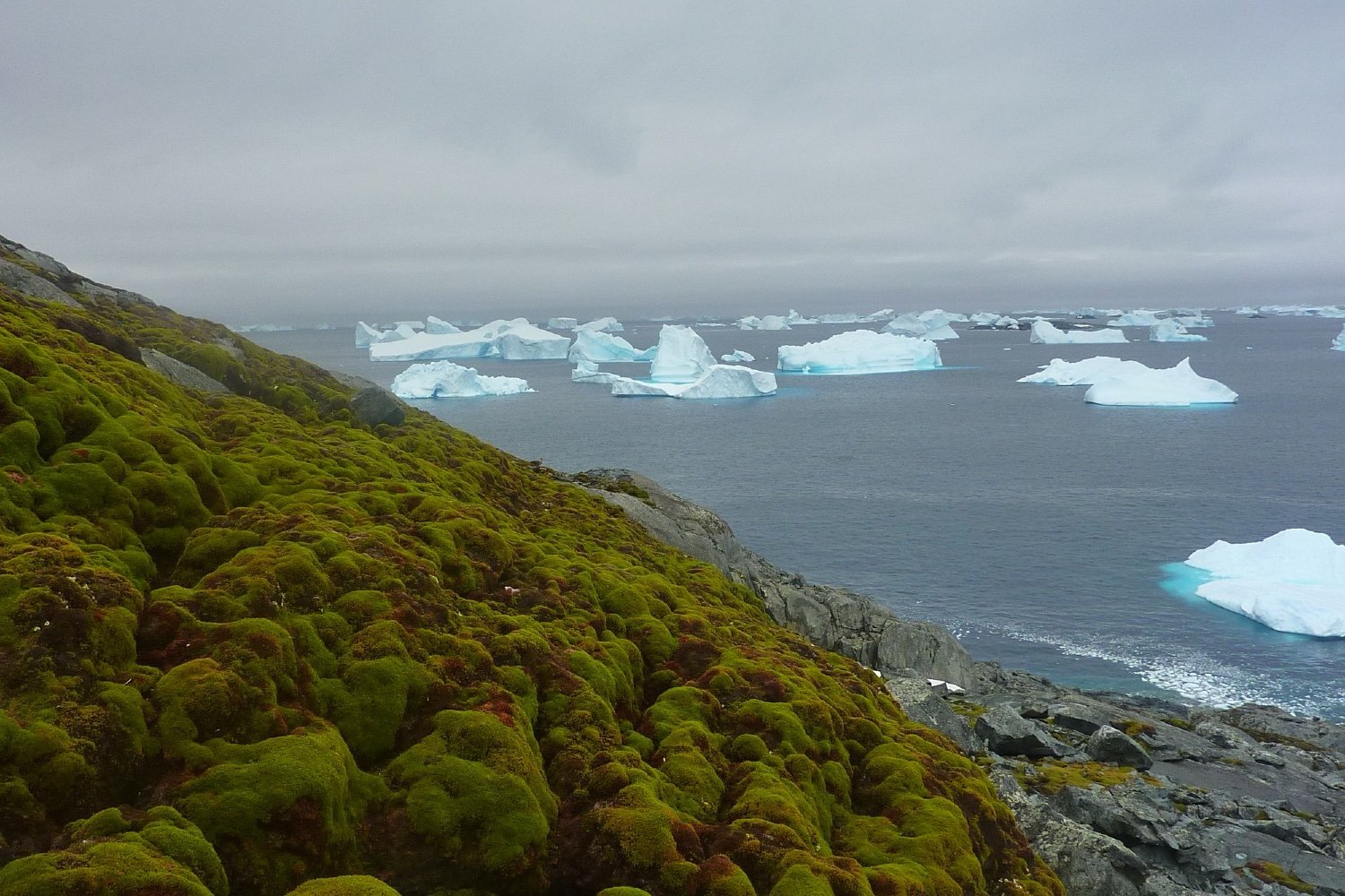 Antarctique