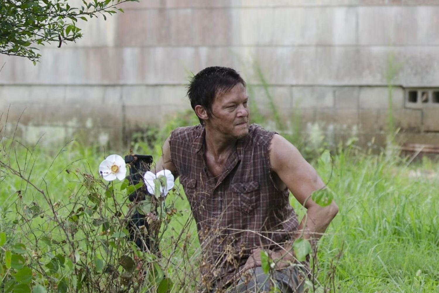 Daryl Saison 2