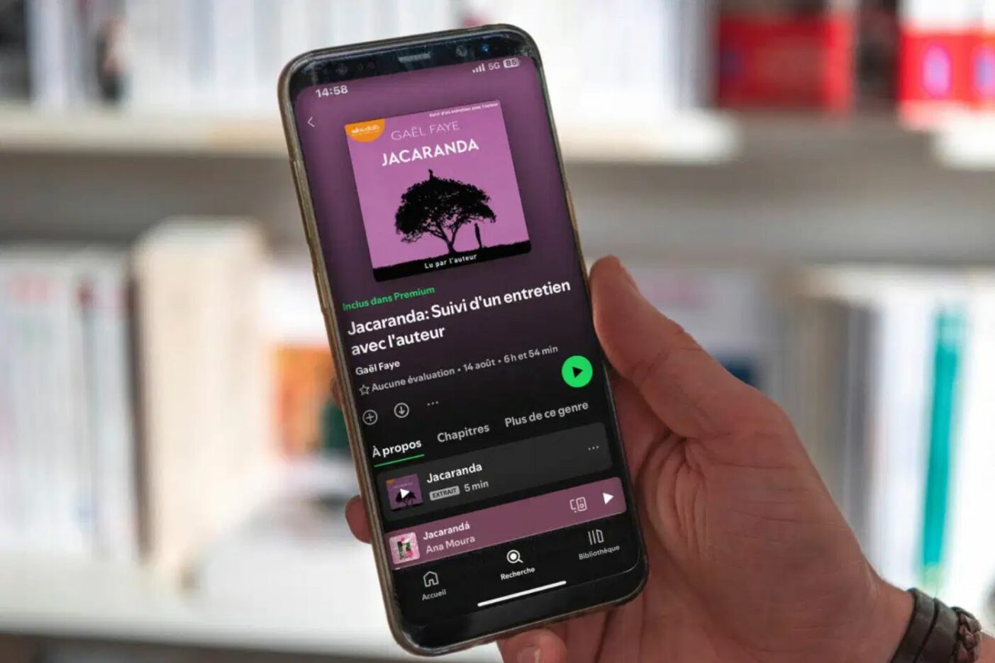 Spotify Livre Audio (1)