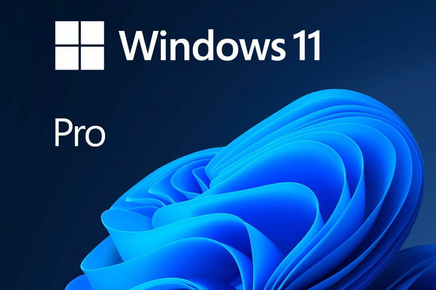 Windows 11 Pro Microsoft