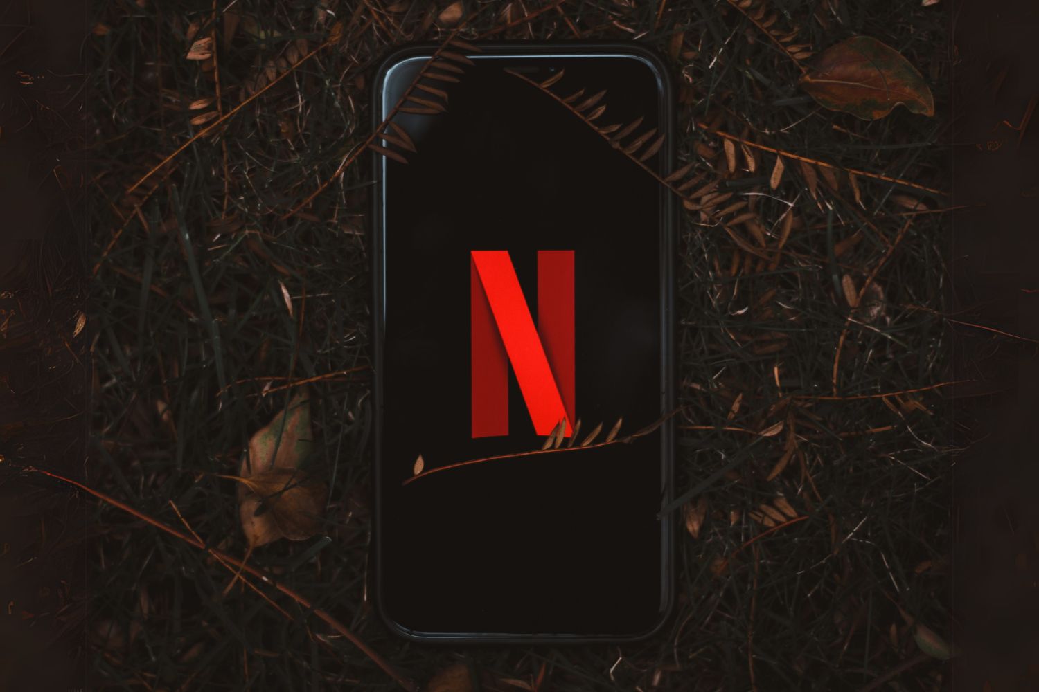 Netflix Perquisition France