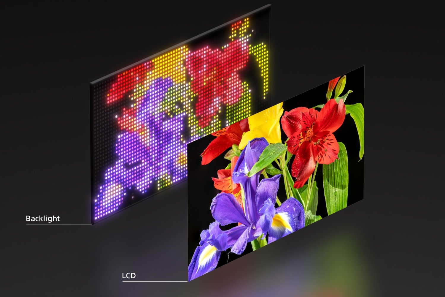 Découvrez les téléviseurs RGB LED de Sony : une nouvelle alternative aux écrans OLED