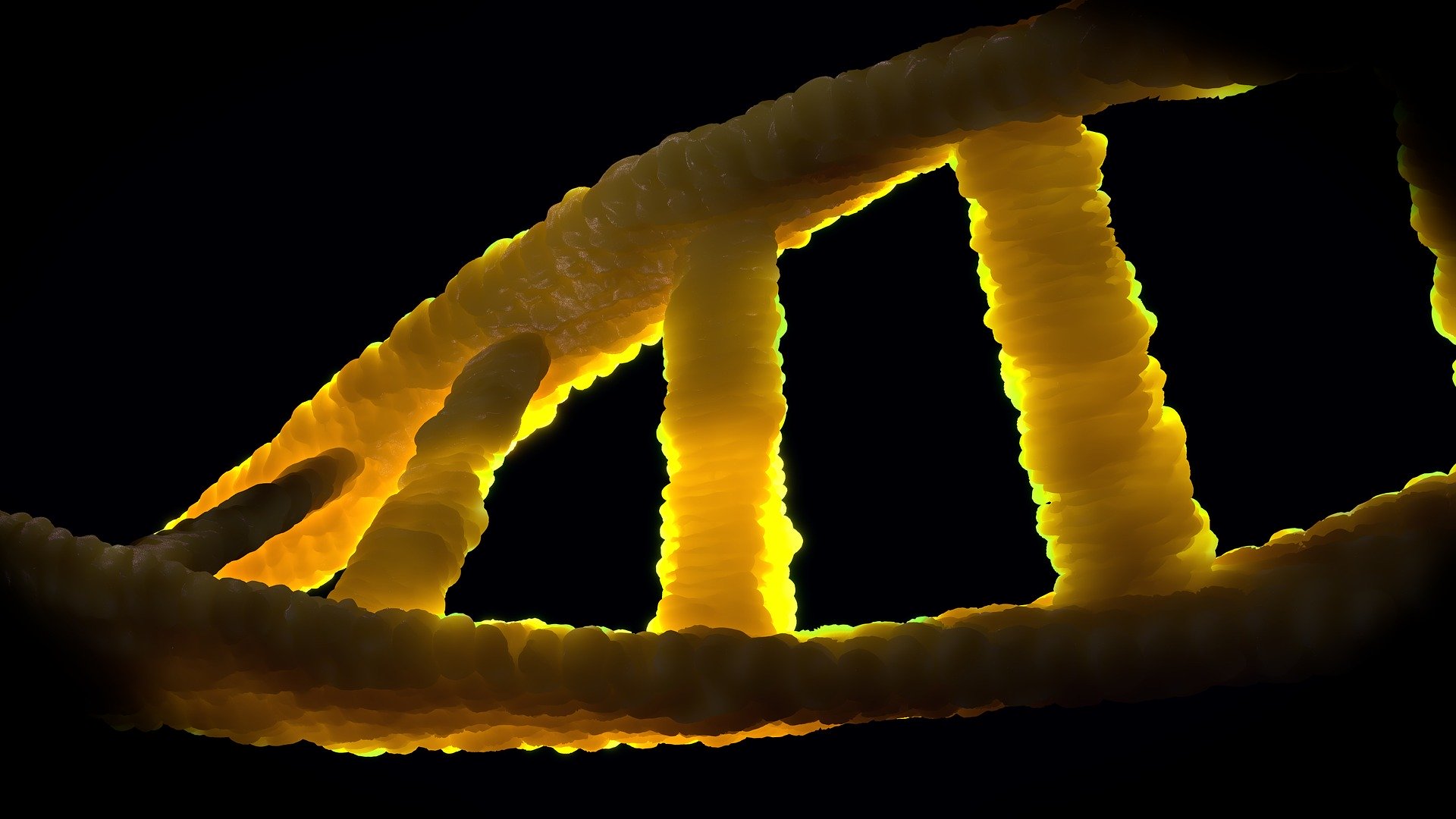 Modification génétique : une étape clé franchie par les bio-ingénieurs - Dna 1388692 1920