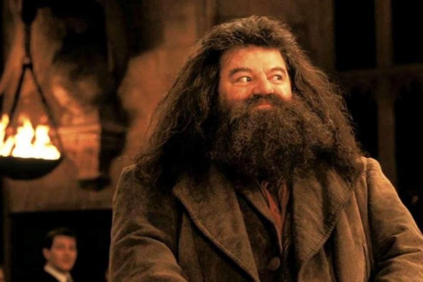 Harry Potter : Robbie Coltrane (Hagrid) Meurt à L'âge De 72 Ans