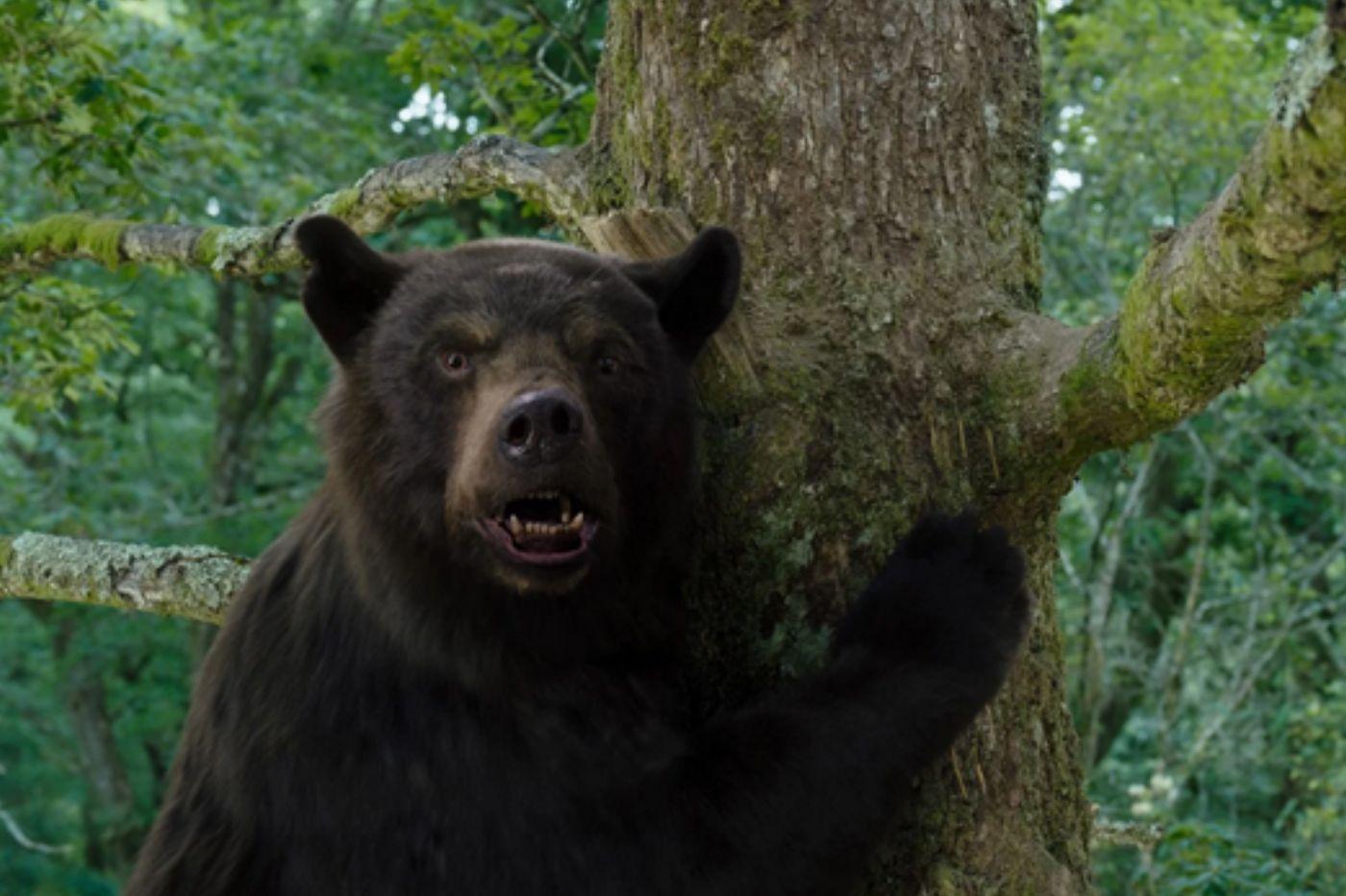 Crazy Bear c'est quoi ce film sur un ours cocaïnomane