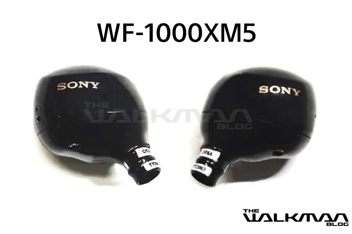 Sony WF-1000XM5 - Ecouteurs antibruit pour un son impeccable